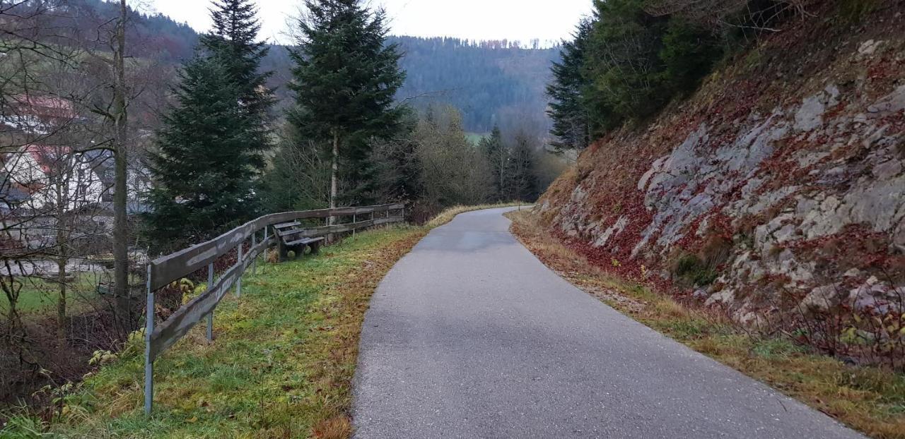 Ferienwohnung "Hirschlein" Im Schwarzwald بيرسبرون المظهر الخارجي الصورة