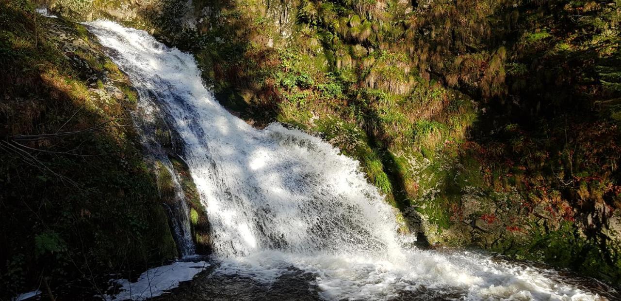 Ferienwohnung "Hirschlein" Im Schwarzwald بيرسبرون المظهر الخارجي الصورة