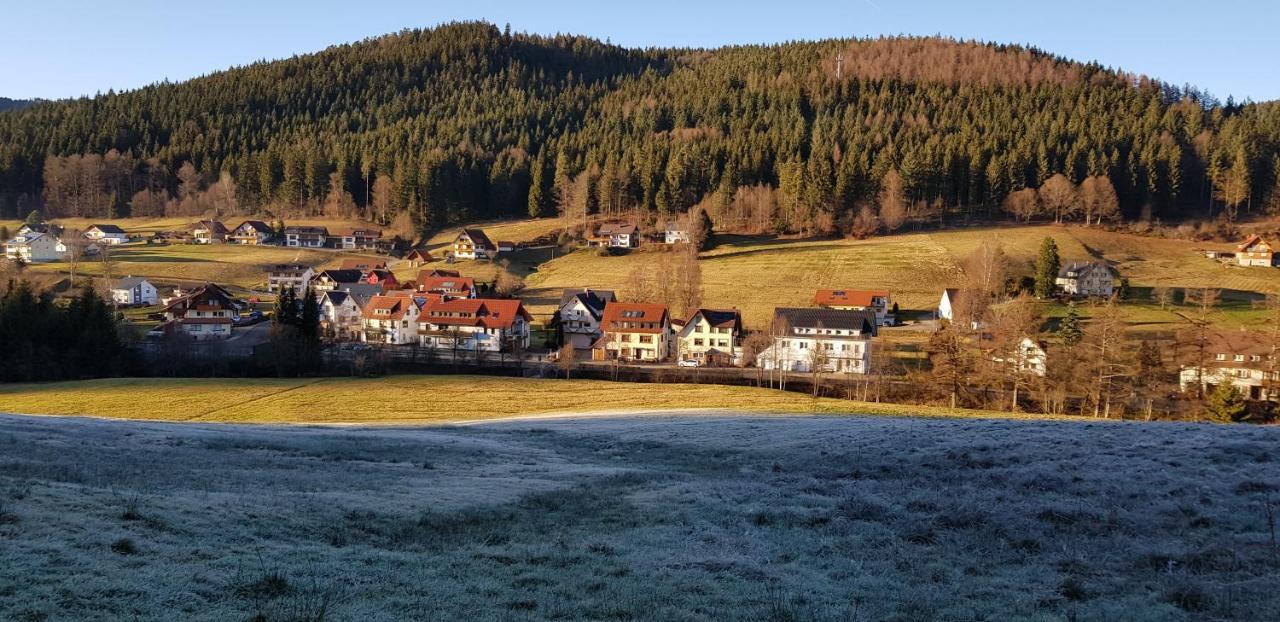 Ferienwohnung "Hirschlein" Im Schwarzwald بيرسبرون المظهر الخارجي الصورة