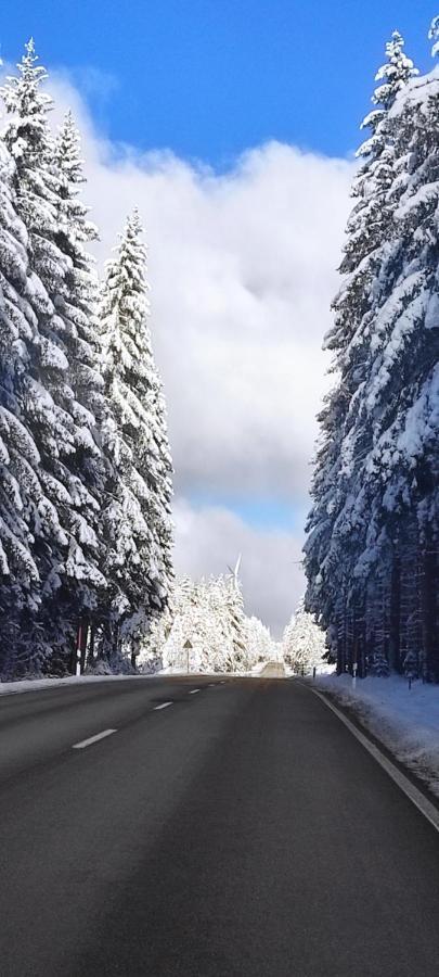 Ferienwohnung "Hirschlein" Im Schwarzwald بيرسبرون المظهر الخارجي الصورة
