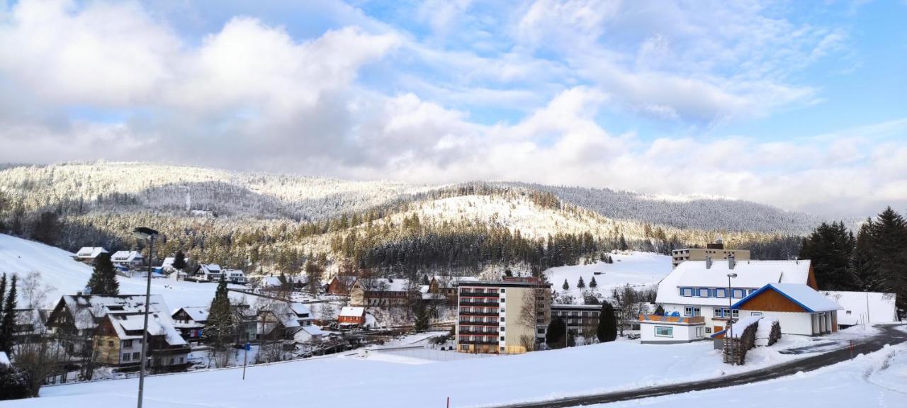 Ferienwohnung "Hirschlein" Im Schwarzwald بيرسبرون المظهر الخارجي الصورة