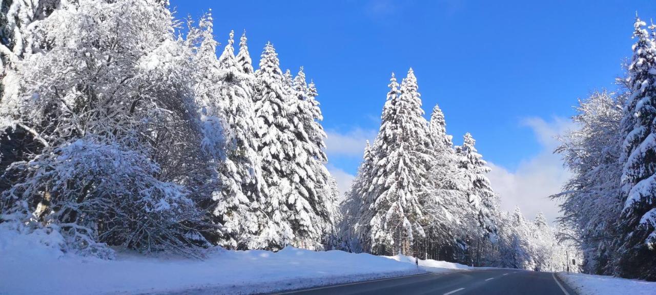 Ferienwohnung "Hirschlein" Im Schwarzwald بيرسبرون المظهر الخارجي الصورة