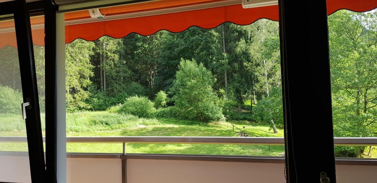Ferienwohnung "Hirschlein" Im Schwarzwald بيرسبرون المظهر الخارجي الصورة