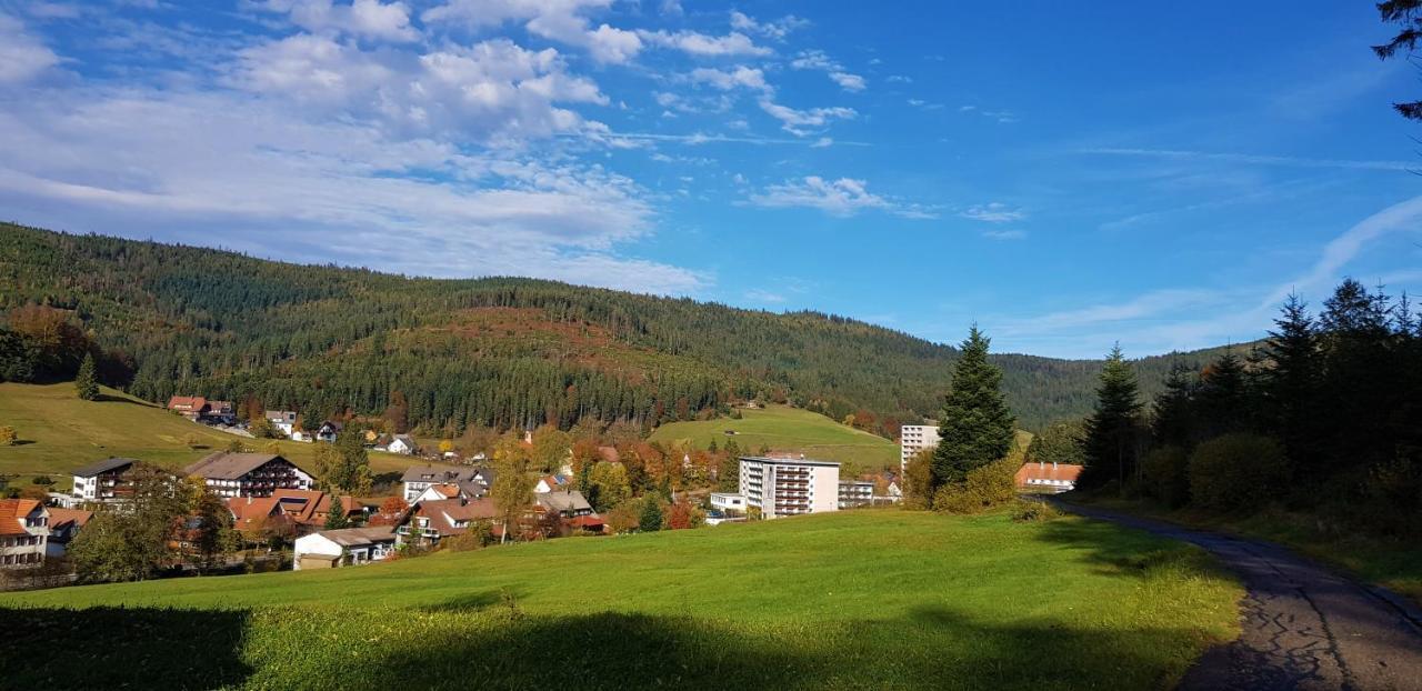 Ferienwohnung "Hirschlein" Im Schwarzwald بيرسبرون المظهر الخارجي الصورة