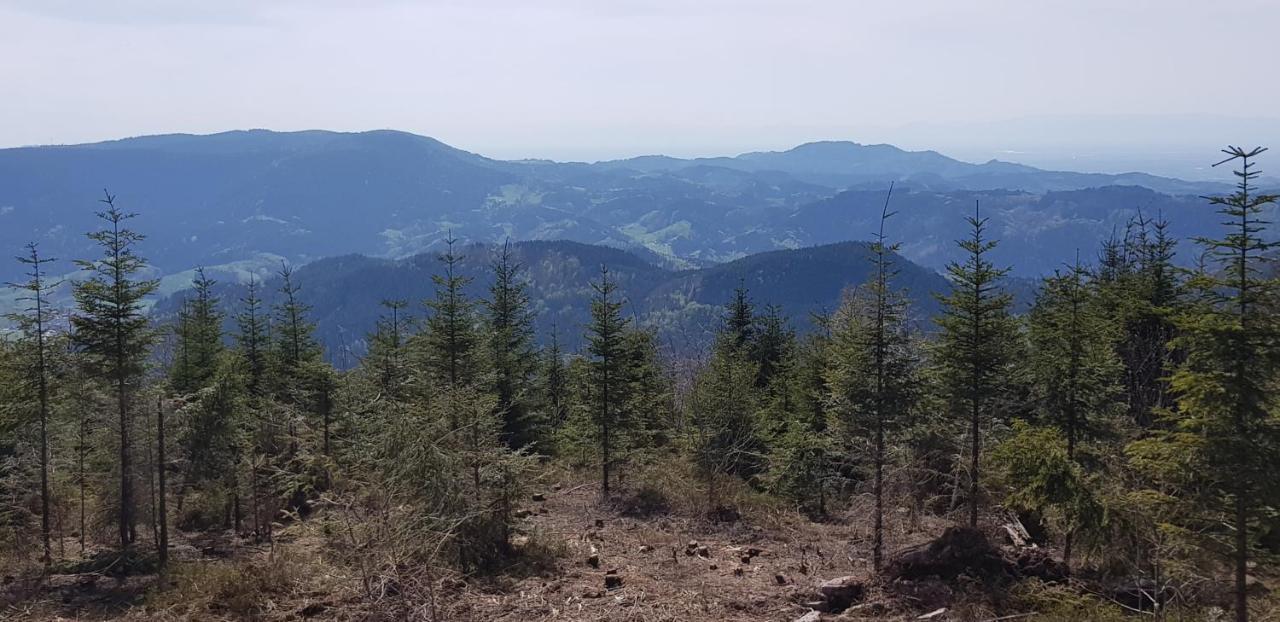 Ferienwohnung "Hirschlein" Im Schwarzwald بيرسبرون المظهر الخارجي الصورة