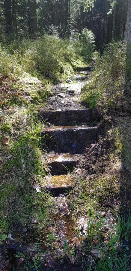 Ferienwohnung "Hirschlein" Im Schwarzwald بيرسبرون المظهر الخارجي الصورة